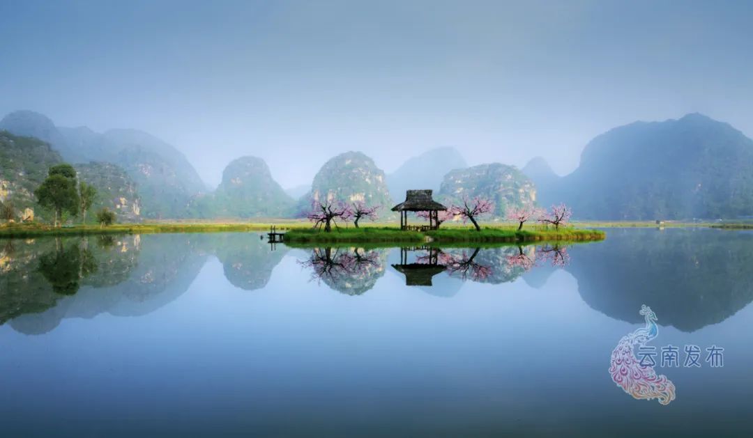 春城晚报(微信)