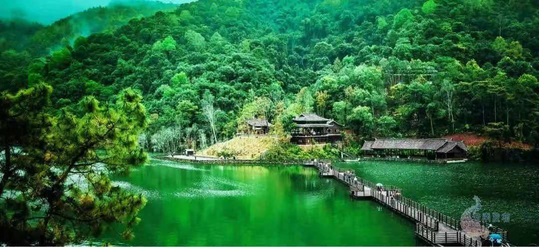 春城晚报(微信)
