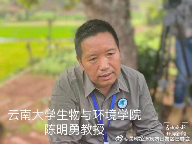 象群活动大方向转向西南方