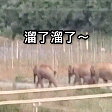 昆明信息港微博