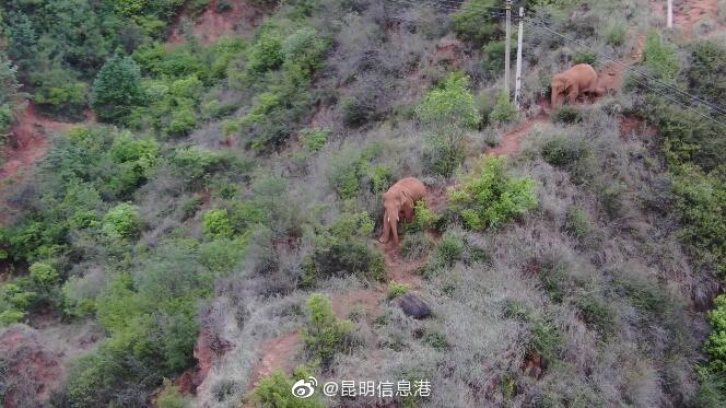 昆明信息港微博