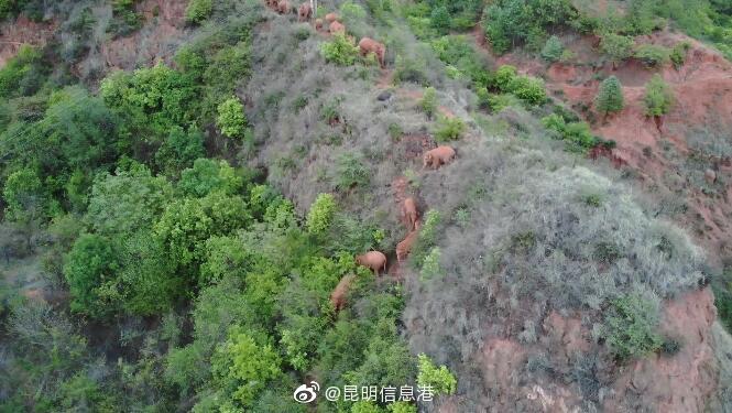 昆明信息港微博
