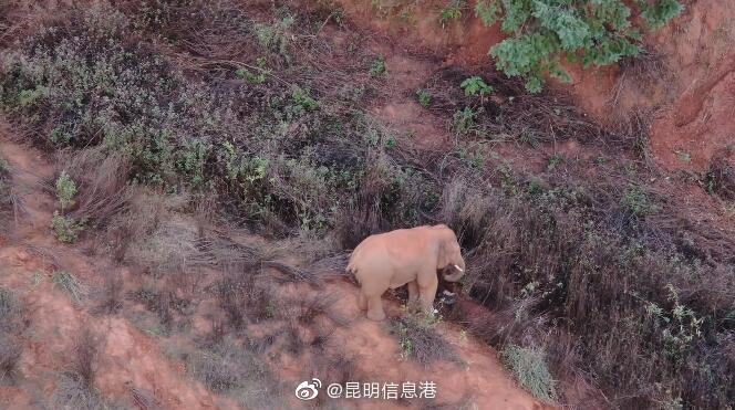 昆明信息港微博