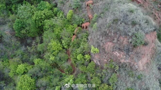 昆明信息港微博