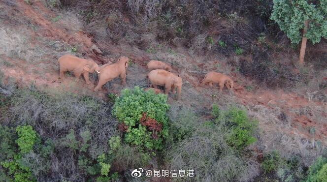 昆明信息港微博
