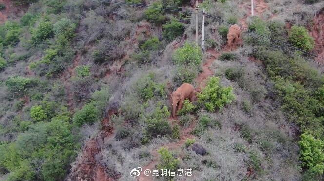 昆明信息港微博