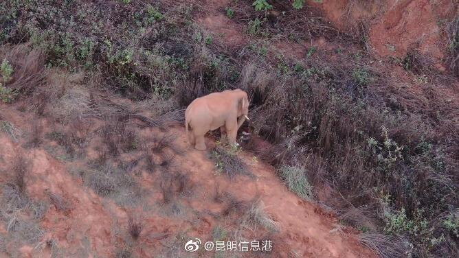 昆明信息港微博