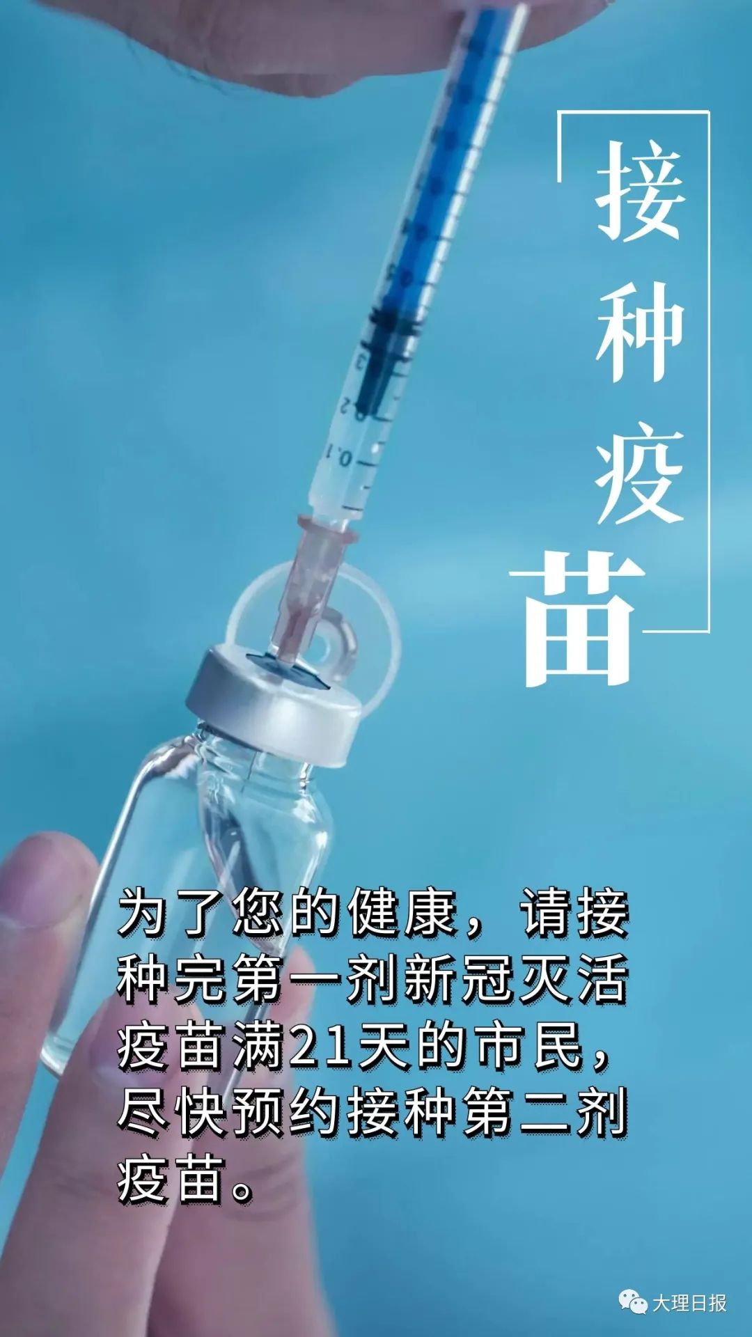 大理日报(微信)