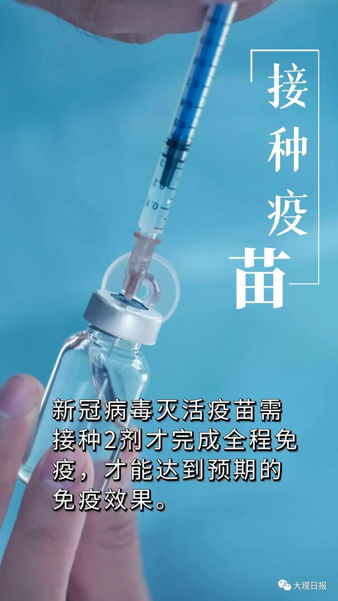 大理日报(微信)