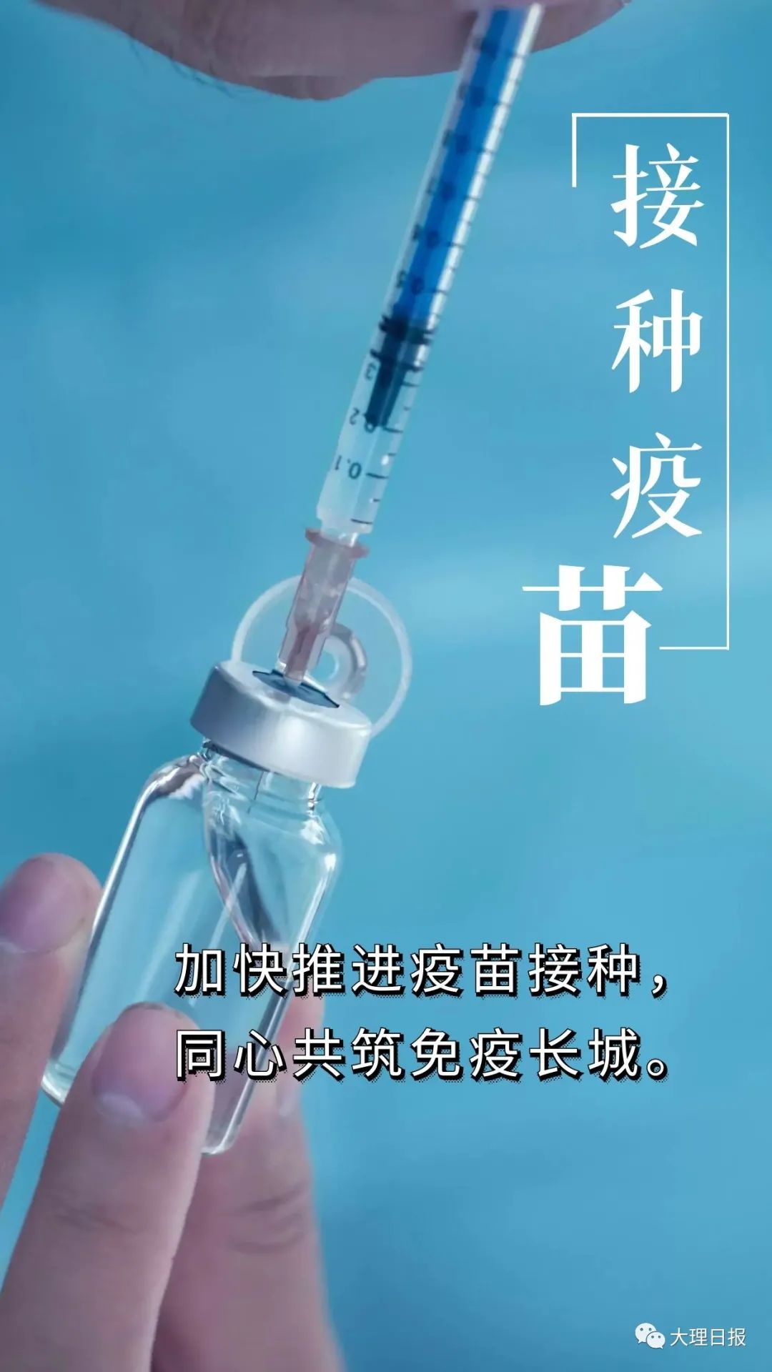 大理日报(微信)