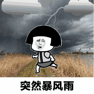 掌上春城(微信)