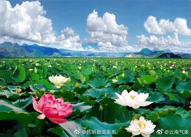 云南省未来24小时天气预报