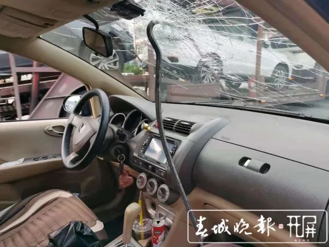 春城晚报(微信)