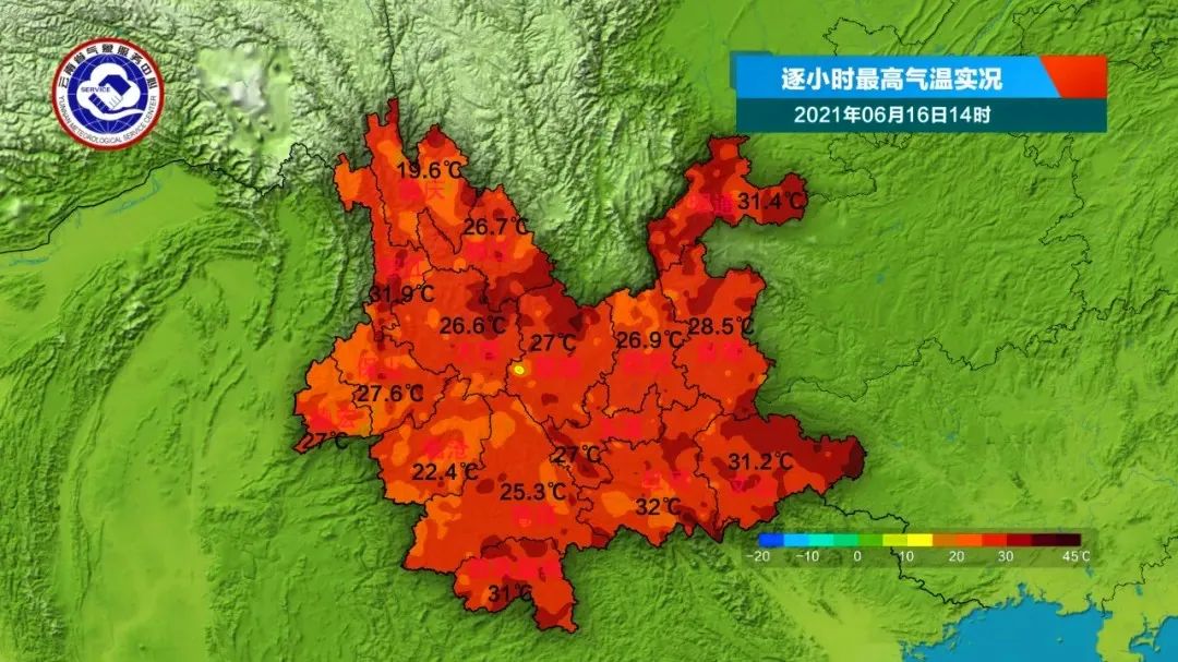 春城晚报(微信)