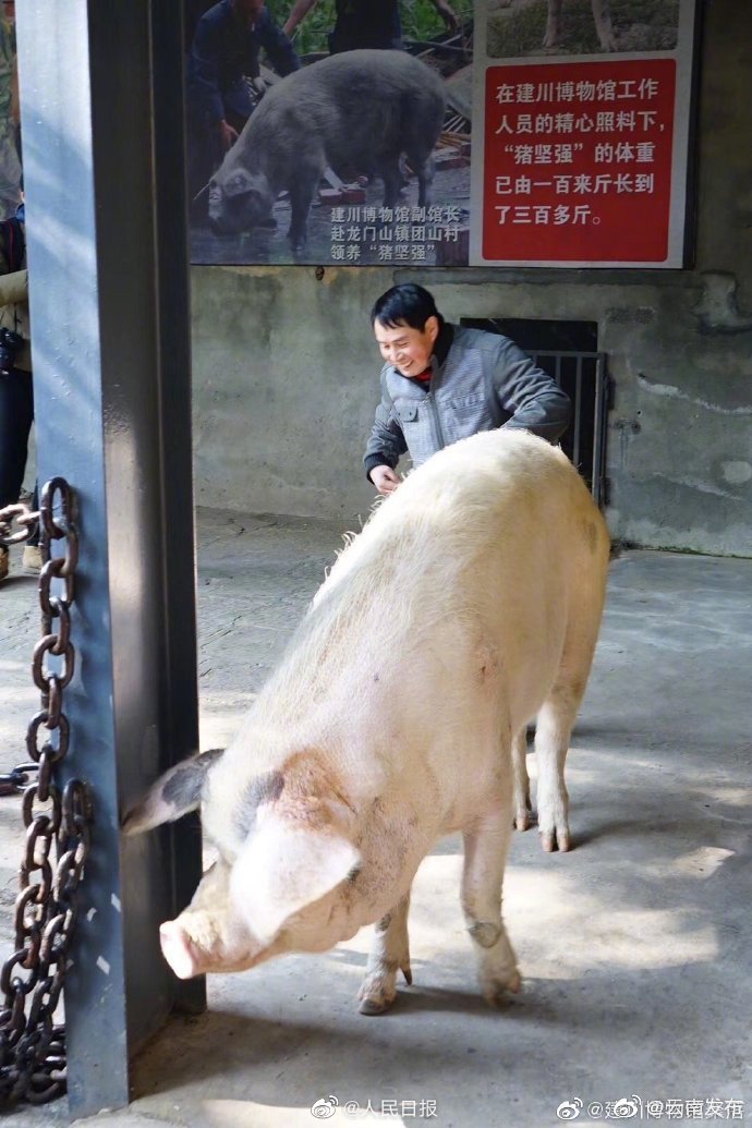 “云南发布”微博