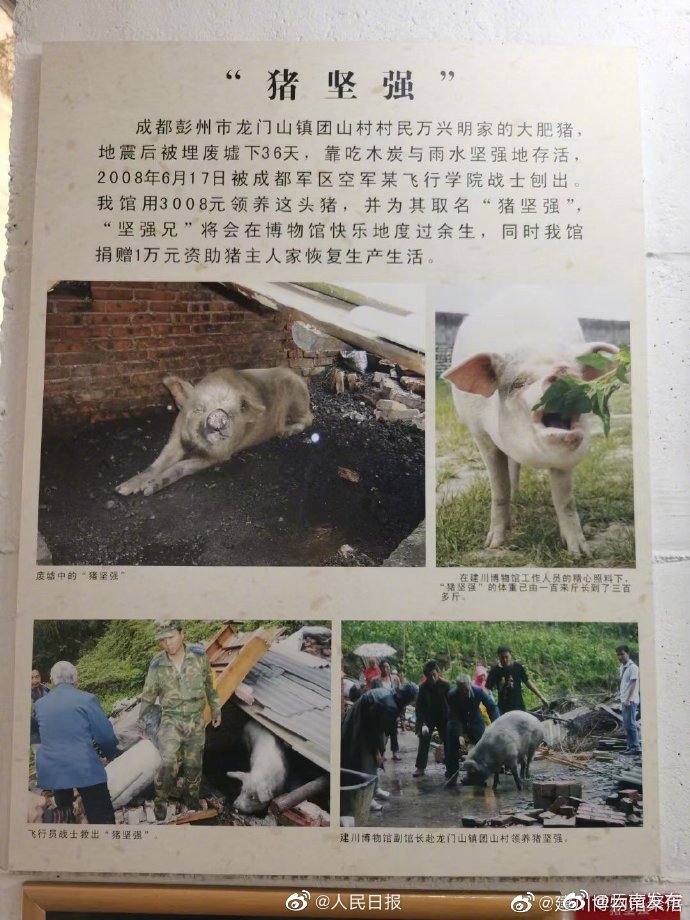 “云南发布”微博