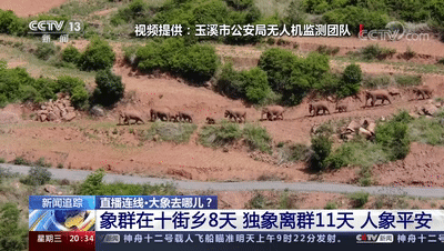 玉溪发布(微信)