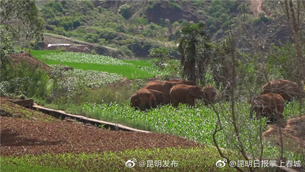 “昆明发布”微博
