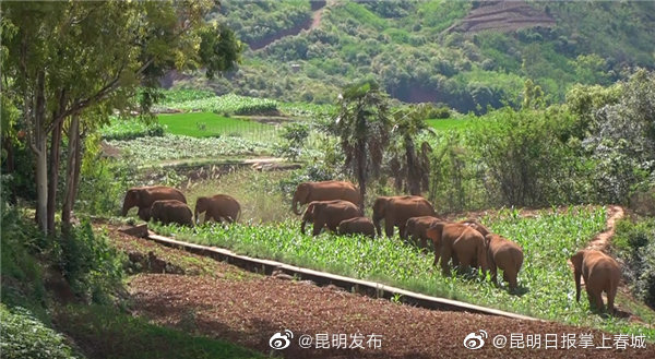 “昆明发布”微博