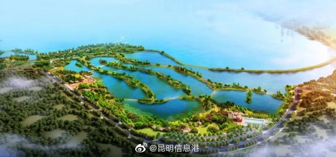 昆明信息港微博