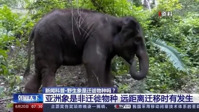 春城晚报(微信)
