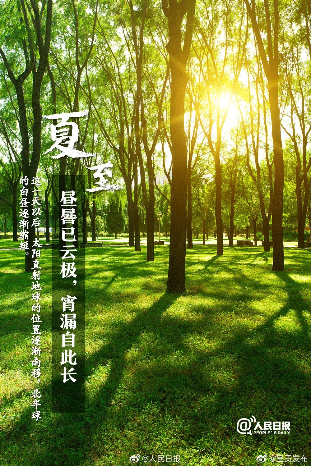 “呈贡发布”微博