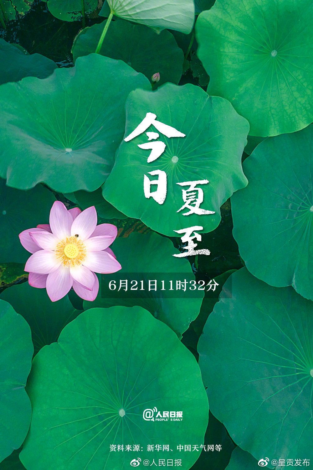“呈贡发布”微博