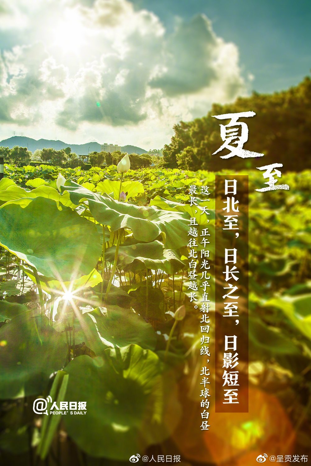 “呈贡发布”微博