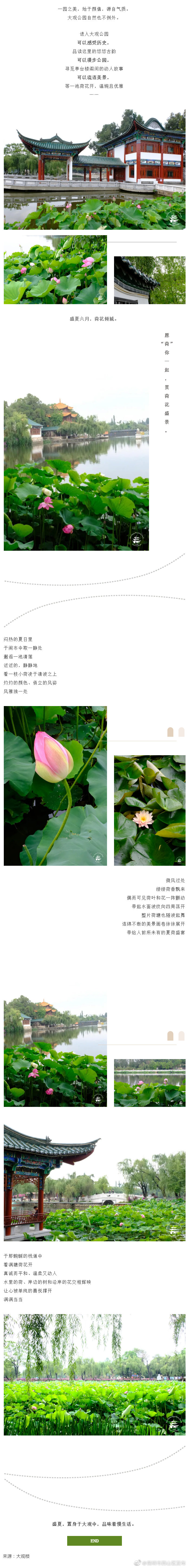 盛夏六月，大观荷花倾城！