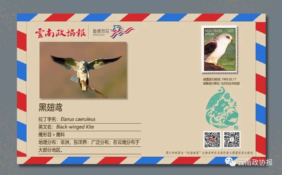 云南政协报(微信)