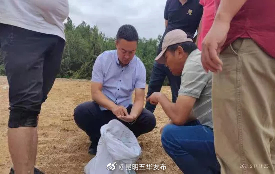 “昆明五华发布”微博