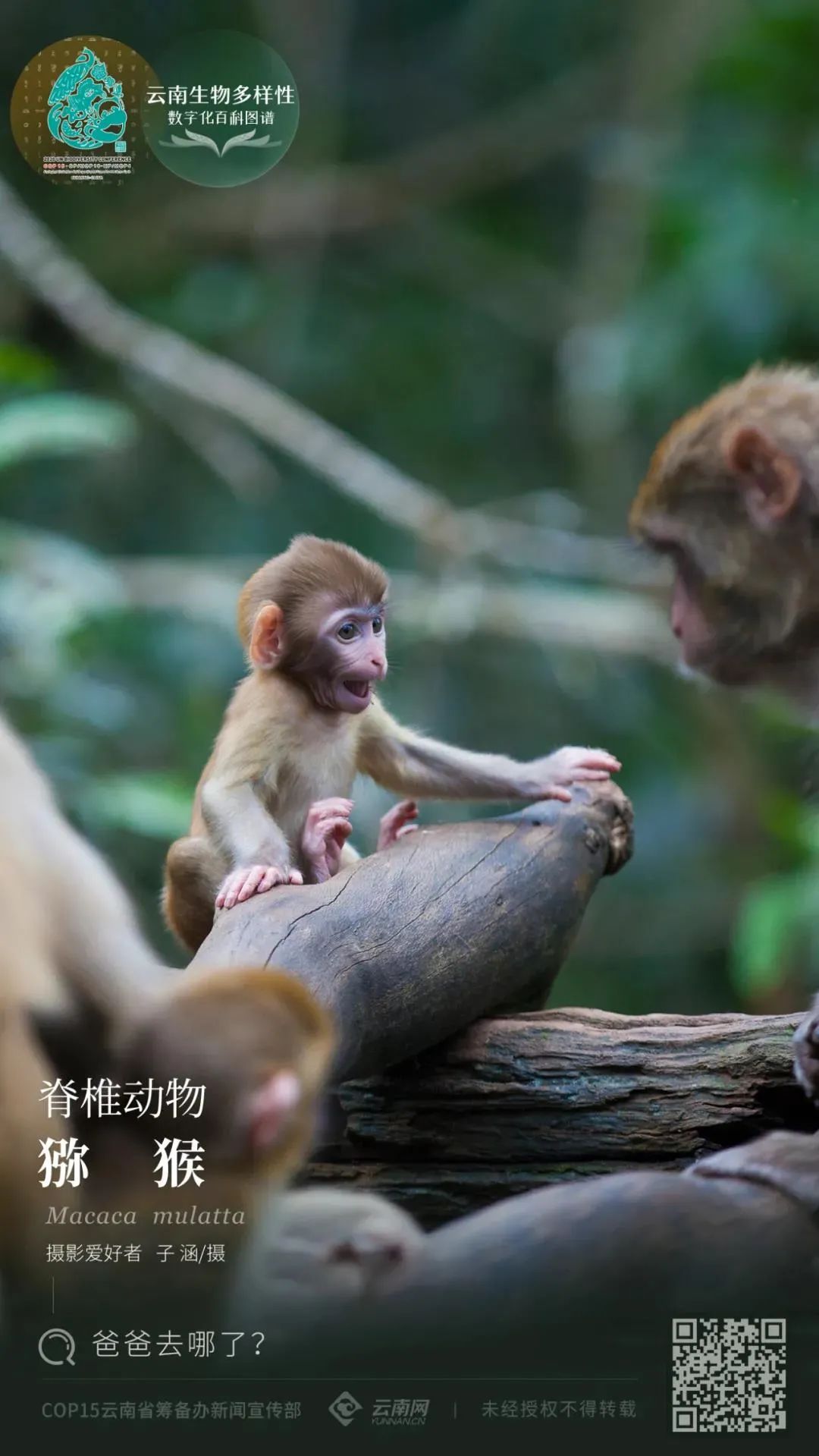 云南省人民政府网