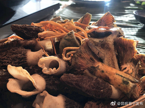 “昆明晋宁发布”微博