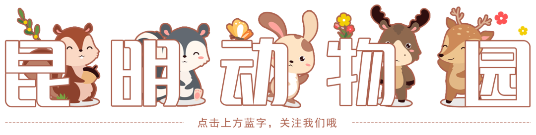 昆明动物园