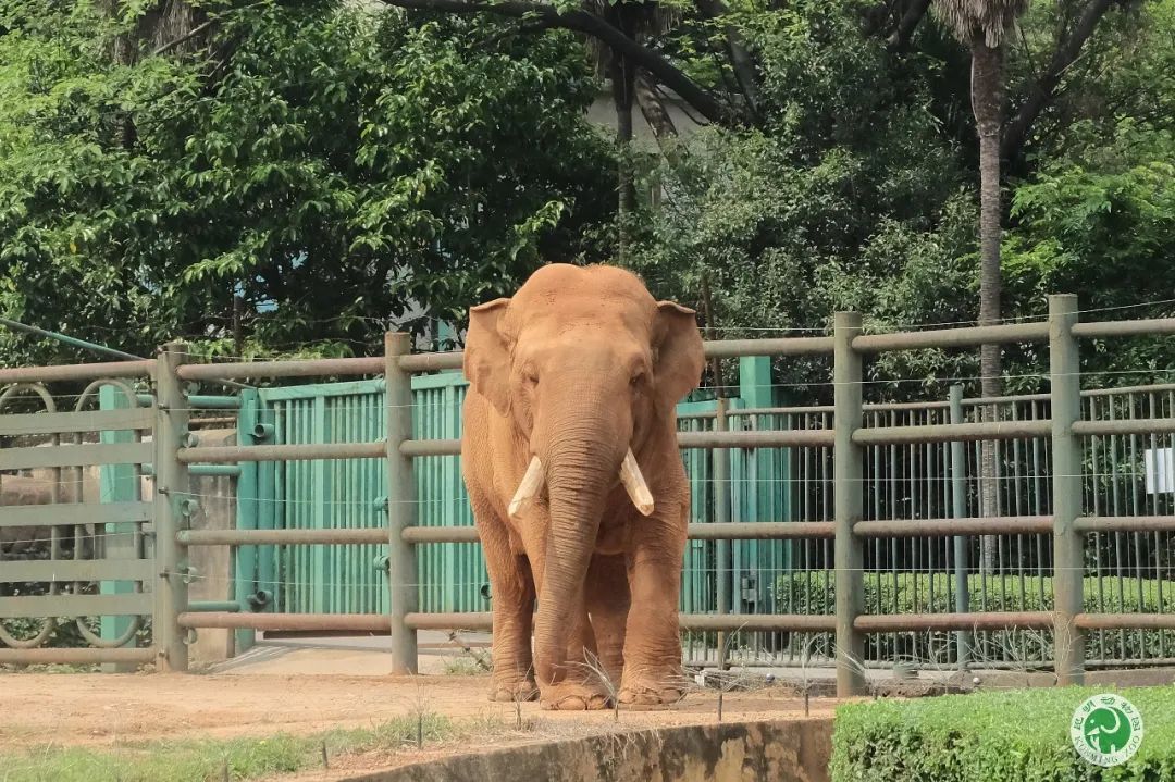 昆明动物园