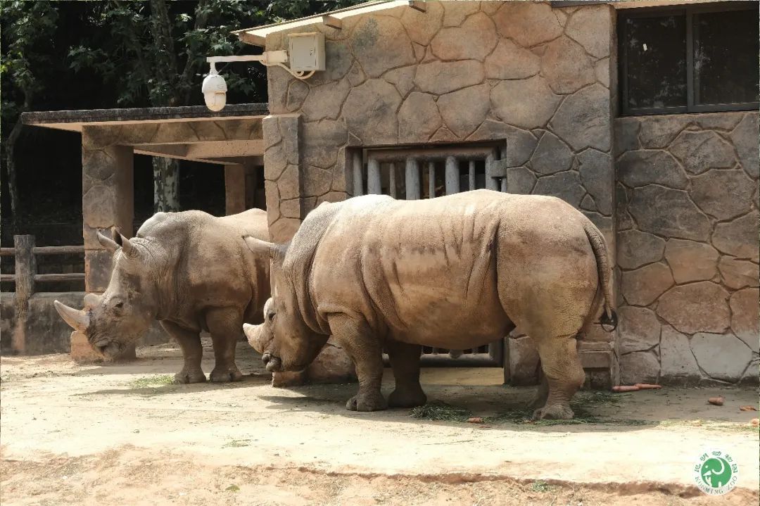 昆明动物园