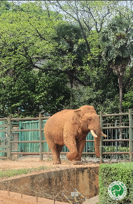昆明动物园