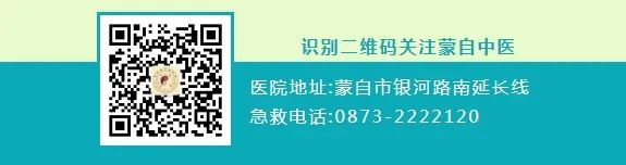 蒙自中医