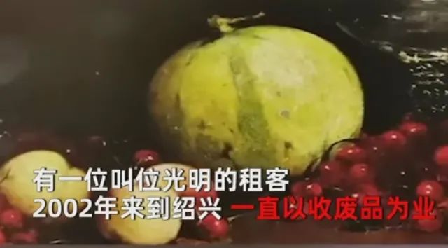 春城晚报(微信)