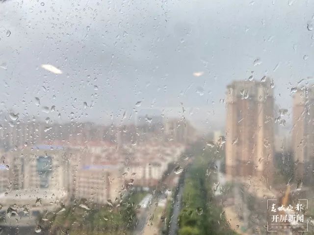 春城晚报(微信)