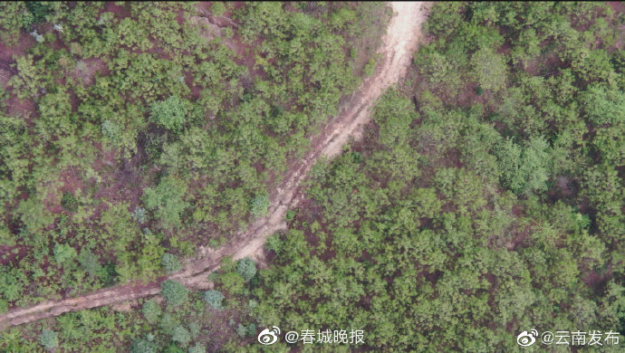 象群总体持续向南迁移