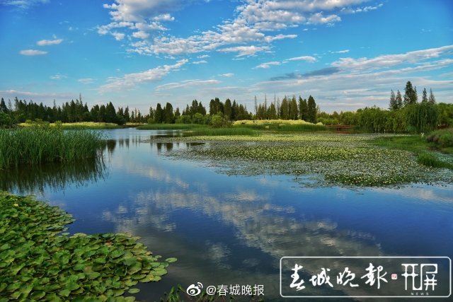 昆明宝丰半岛湿地预计7月30日建成