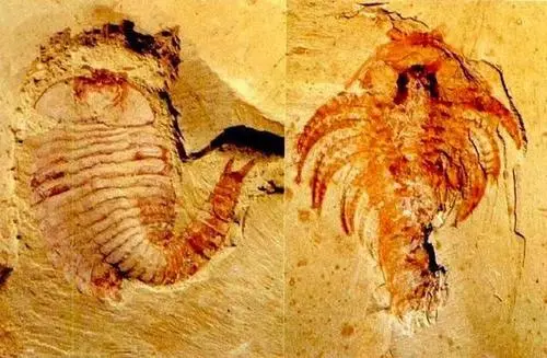 昆明动物园
