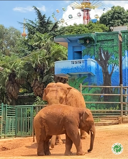 昆明动物园
