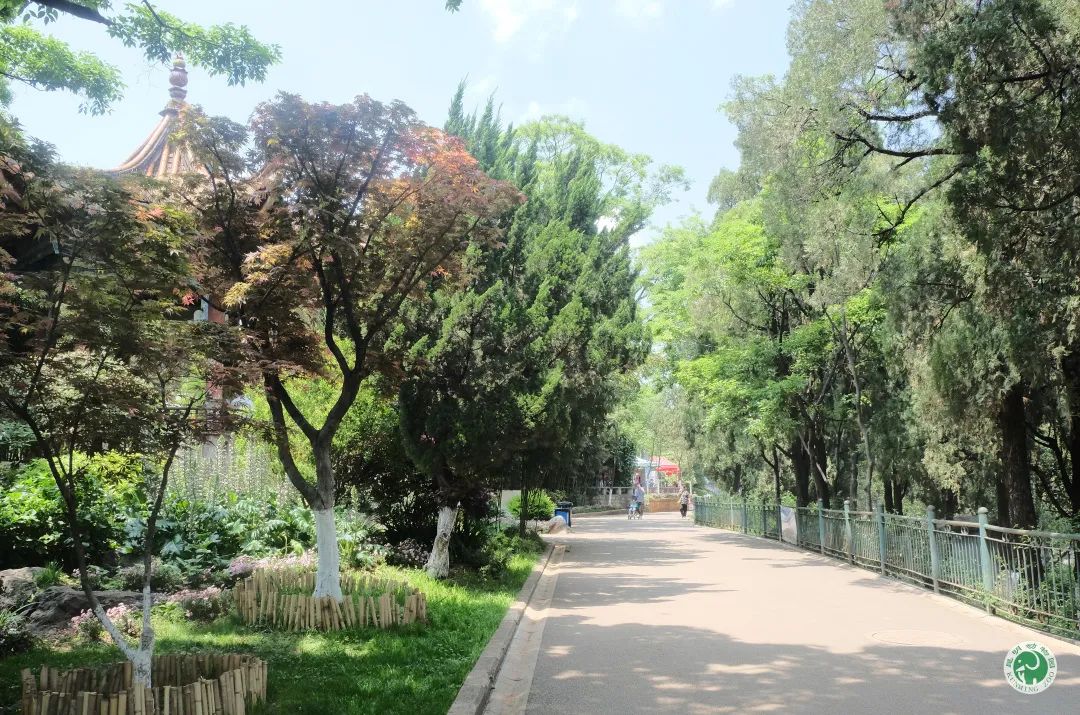 昆明动物园