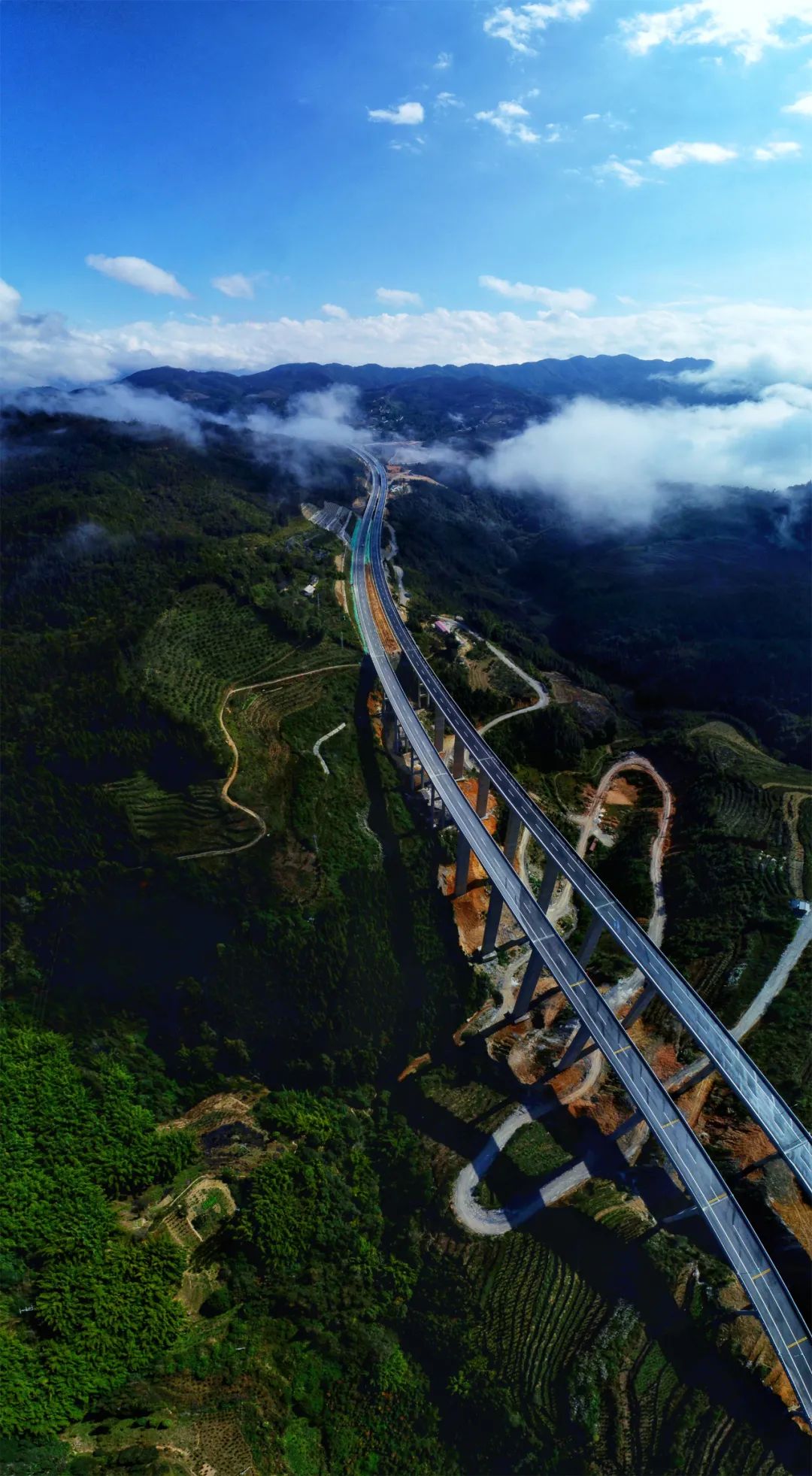 918云南交通台(微信)