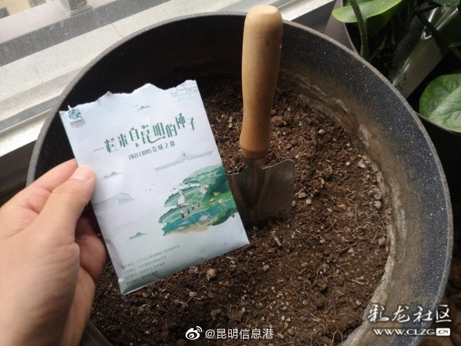 昆明信息港微博