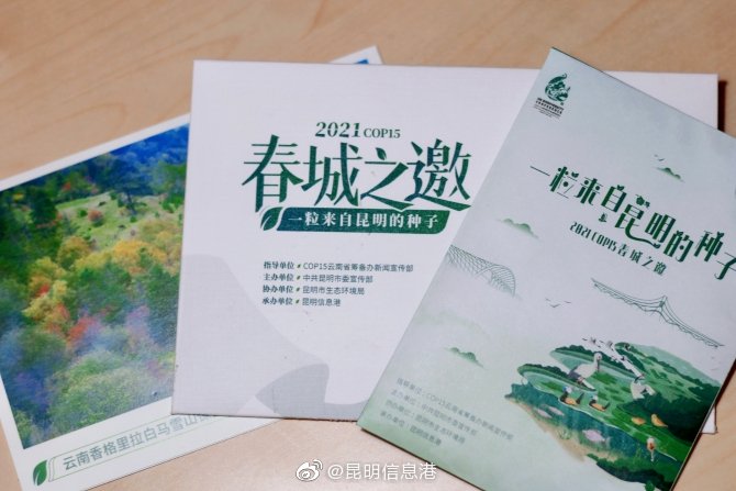 昆明信息港微博