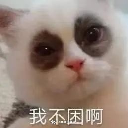 昆明信息港微博