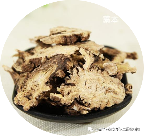 云南中医药大学第二附属医院(微信)